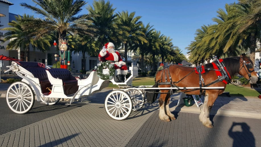Gallery photo 4 of Santa Karl