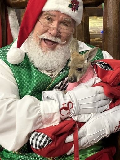 Gallery photo 5 of Pawpaw Claus