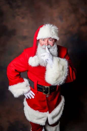 Gallery photo 6 of Santa Kelly