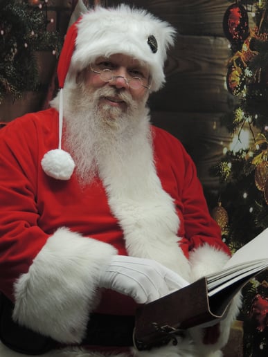 Gallery photo 6 of Santa Ken