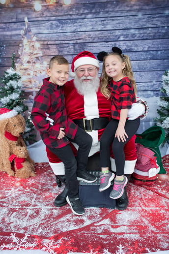 Gallery photo 3 of Santa Ken