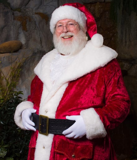 Gallery photo 9 of Santa Kennesaw
