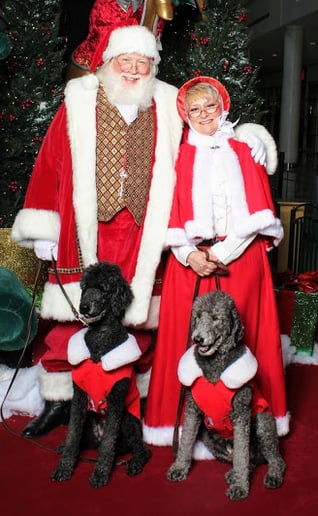 Gallery photo 6 of Santa Kennesaw