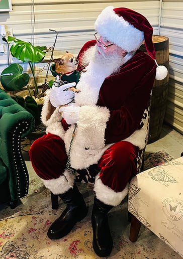 Gallery photo 1 of Santa Kenny