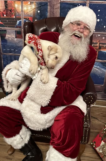 Gallery photo 7 of Santa Kenny