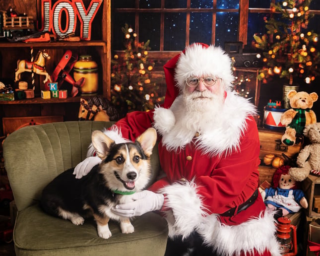 Gallery photo 3 of Santa Kerry