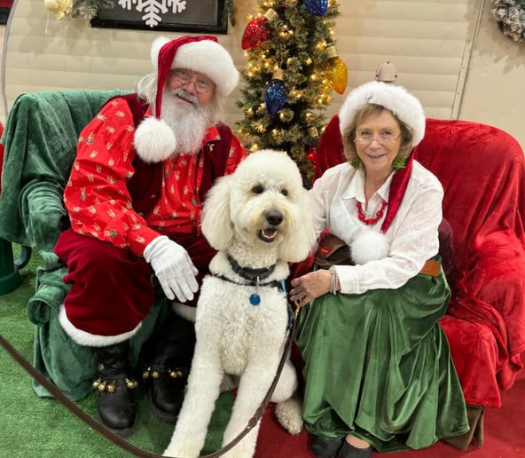 Gallery photo 21 of Santa Kevan and Mrs Claus