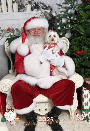 Gallery photo 36 of Santa Kevan and Mrs Claus