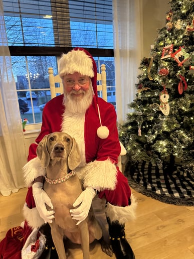Gallery photo 5 of Santa Kevin