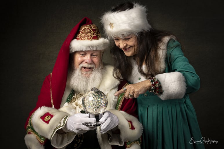Gallery photo 7 of Santa Kirby