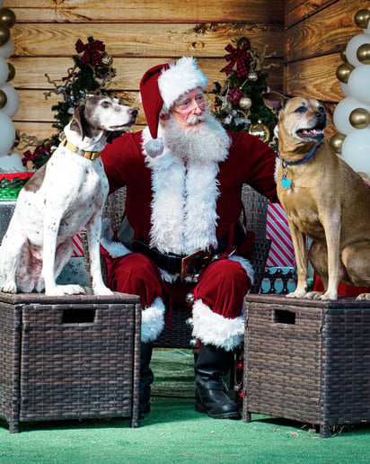 Gallery photo 12 of "Santa" Klus