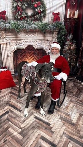 Gallery photo 5 of Santa Klyng