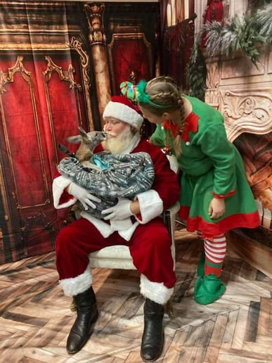 Gallery photo 7 of Santa Klyng