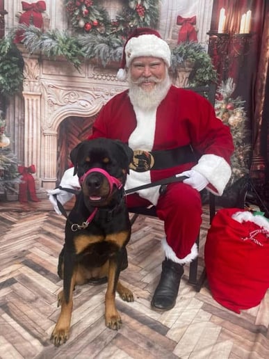 Gallery photo 9 of Santa Klyng