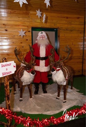 Gallery photo 8 of Yinzer Claus