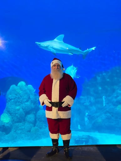 Gallery photo 7 of Santa Kris