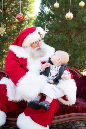 Gallery photo 6 of Santa Kris
