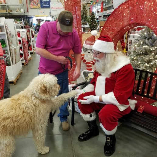 Gallery photo 5 of Santa Kyle