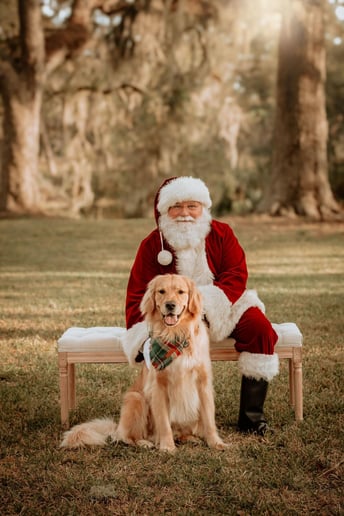 Gallery photo 2 of Santa Robert