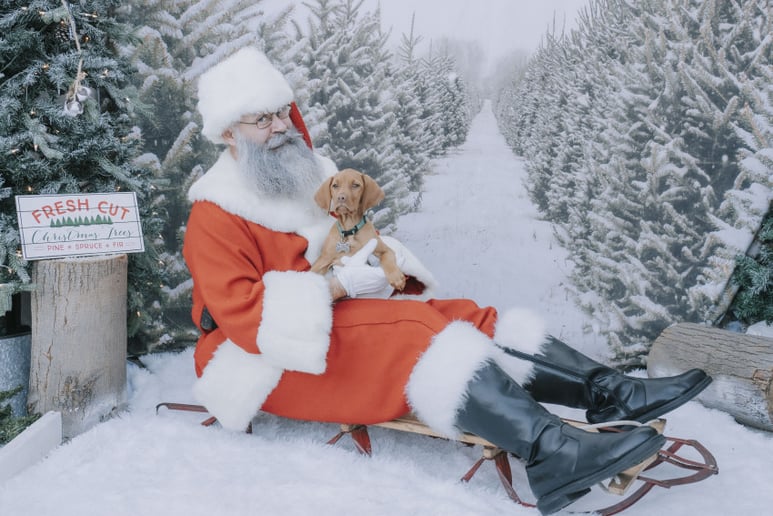 Gallery photo 7 of Santa Michael