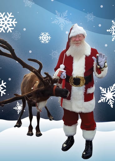 Gallery photo 12 of Santa Larry and Mrs. C