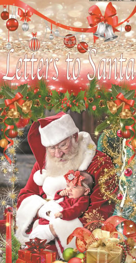 Gallery photo 7 of Santa Larry and Mrs. C