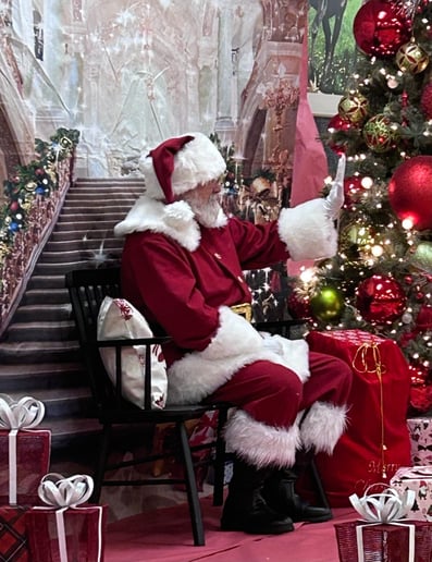 Gallery photo 7 of Santa Larry