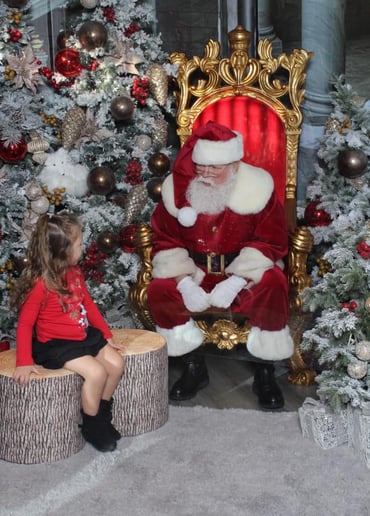 Gallery photo 8 of A1 Santa