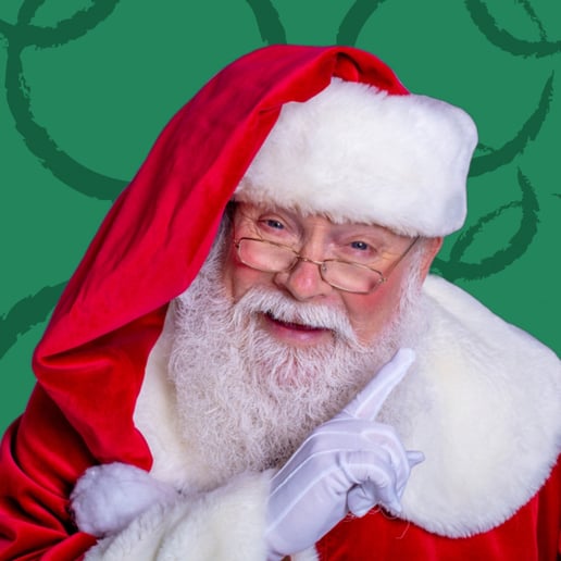 Gallery photo 10 of A1 Santa
