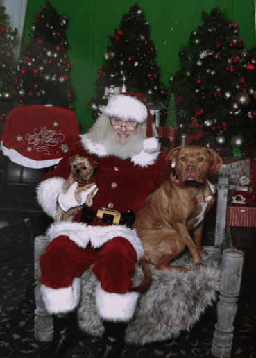 Gallery photo 4 of Santa Lyle