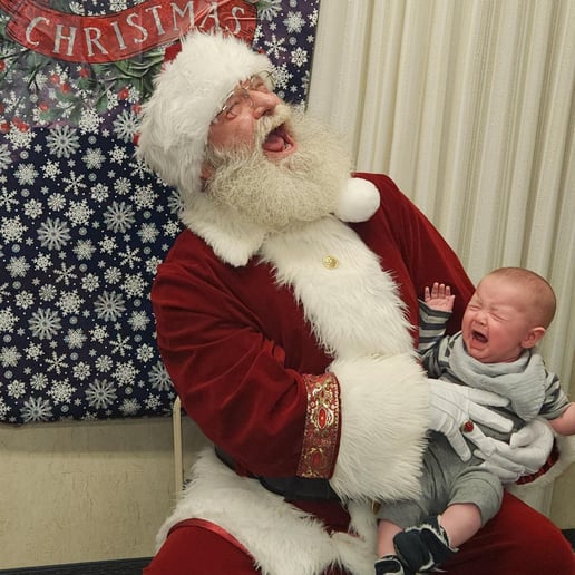 Gallery photo 5 of Santa "Lynden"