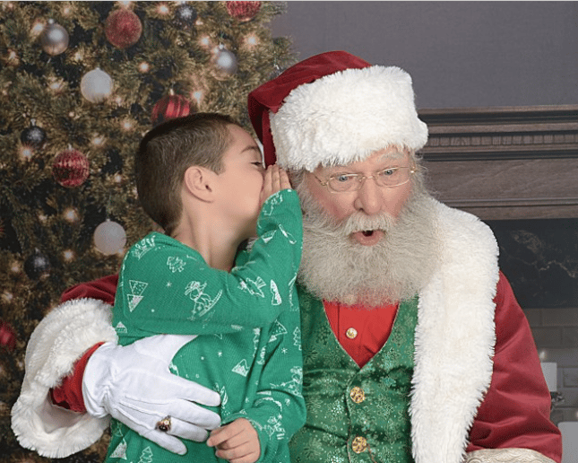 Gallery photo 7 of Santa "Lynden"
