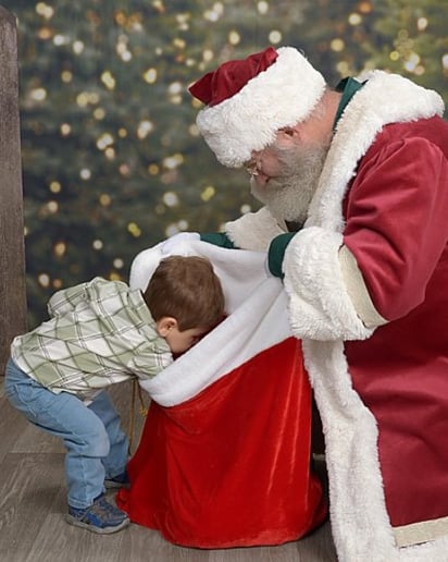 Gallery photo 8 of Santa "Lynden"