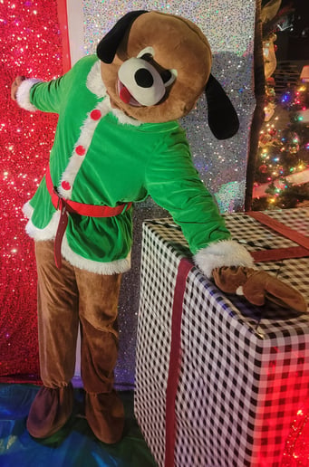 Gallery photo 18 of Santa M. Claus "Mathew Claus"