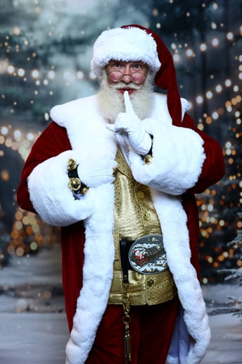 Gallery photo 2 of Santa Mack