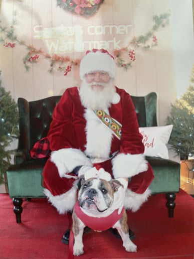 Gallery photo 1 of Santa Malcolm