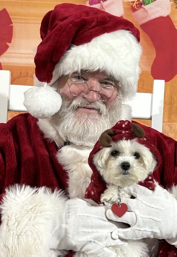 Gallery photo 5 of Santa Mark