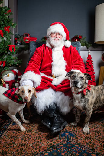 Gallery photo 8 of Santa Mark