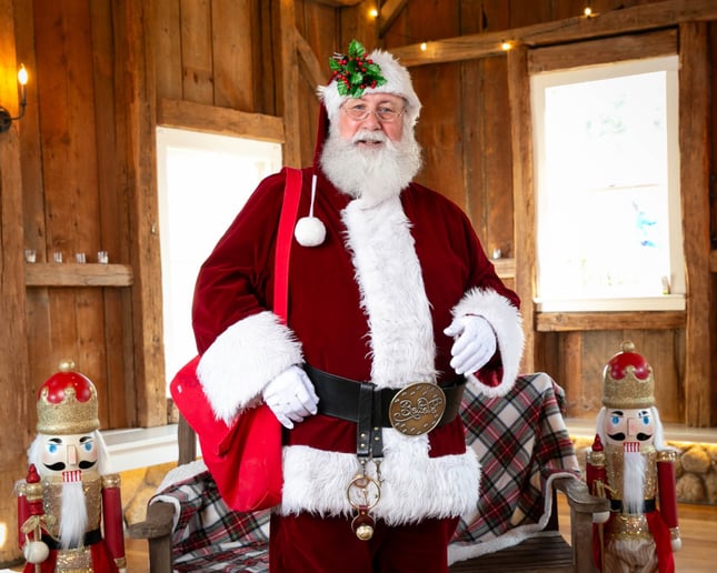 Gallery photo 8 of Santa Mark CT