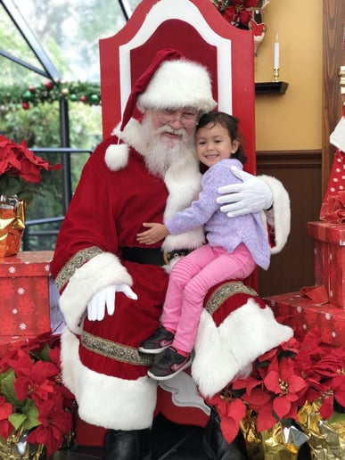 Gallery photo 5 of Santa Mark