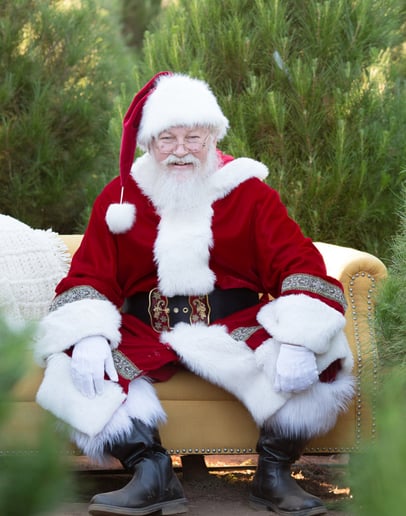 Gallery photo 9 of Santa Mark