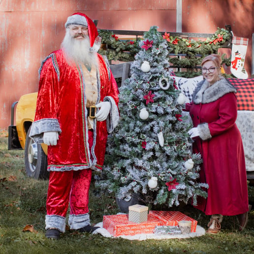 Gallery photo 7 of Santa Mark