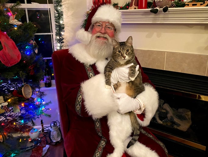 Gallery photo 4 of Santa Mark