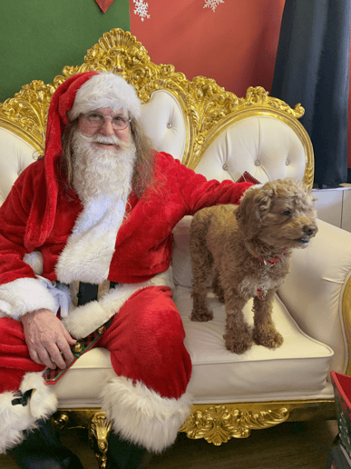 Gallery photo 1 of Santa Mark