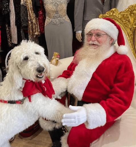 Gallery photo 8 of Santa Mark