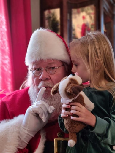 Gallery photo 4 of Santa Mark