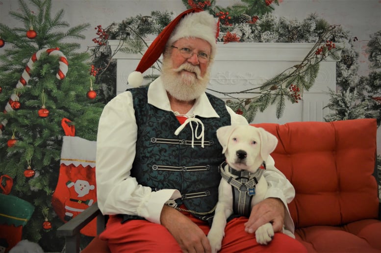 Gallery photo 5 of Santa Mark