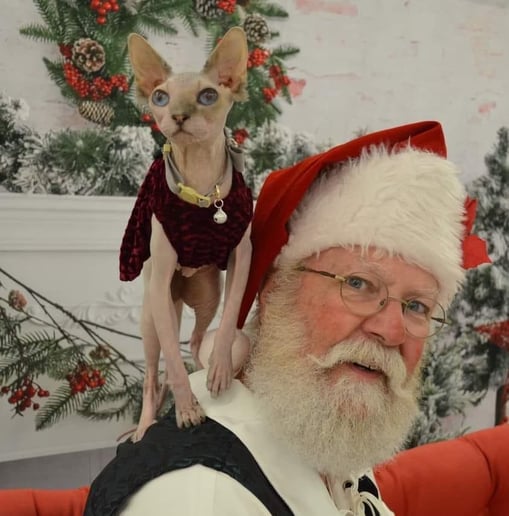 Gallery photo 6 of Santa Mark