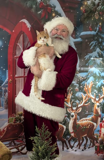 Gallery photo 9 of Santa Mark VW