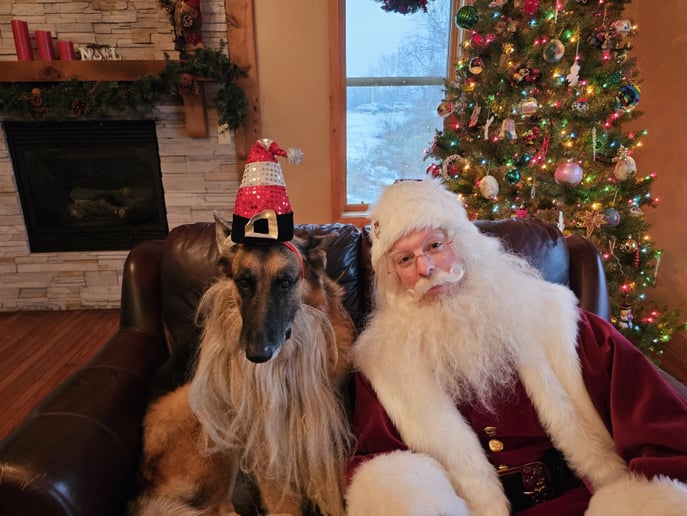 Gallery photo 8 of Santa Matt